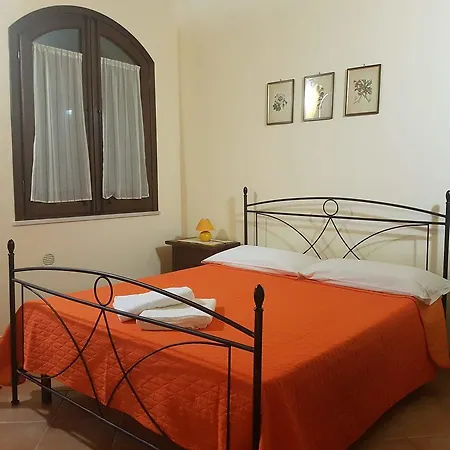 Farm stay L'olivo