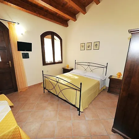 L'olivo * Calatafimi